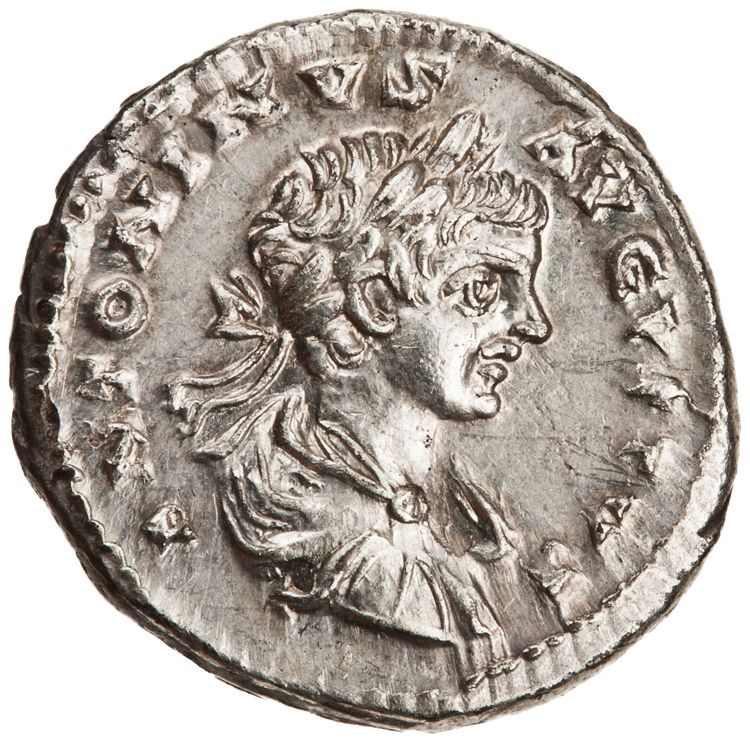 RIC IV Caracalla 354, аверс, American Numismatic Society (ans)
