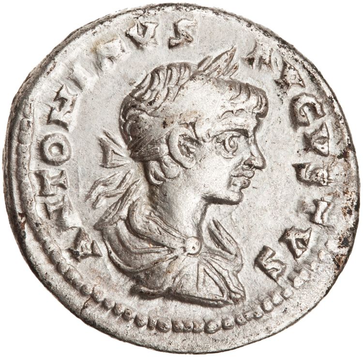 RIC IV Caracalla 354, аверс, American Numismatic Society (ans)