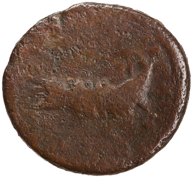 RIC IV Caracalla 426A, реверс, American Numismatic Society (ans)