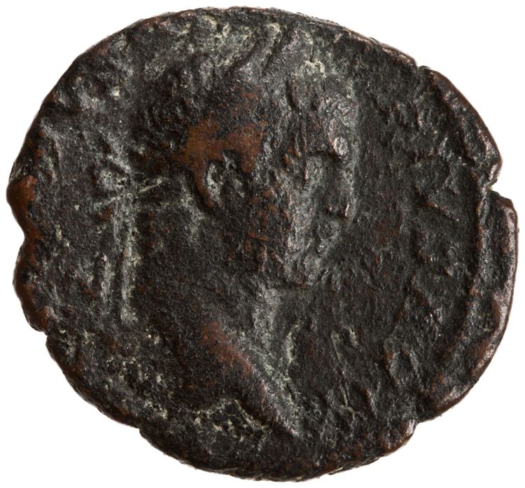 RIC IV Caracalla 448A, аверс, American Numismatic Society (ans)