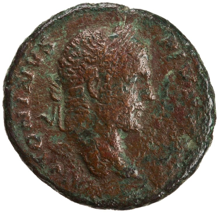 RIC IV Caracalla 458a, аверс, American Numismatic Society (ans)