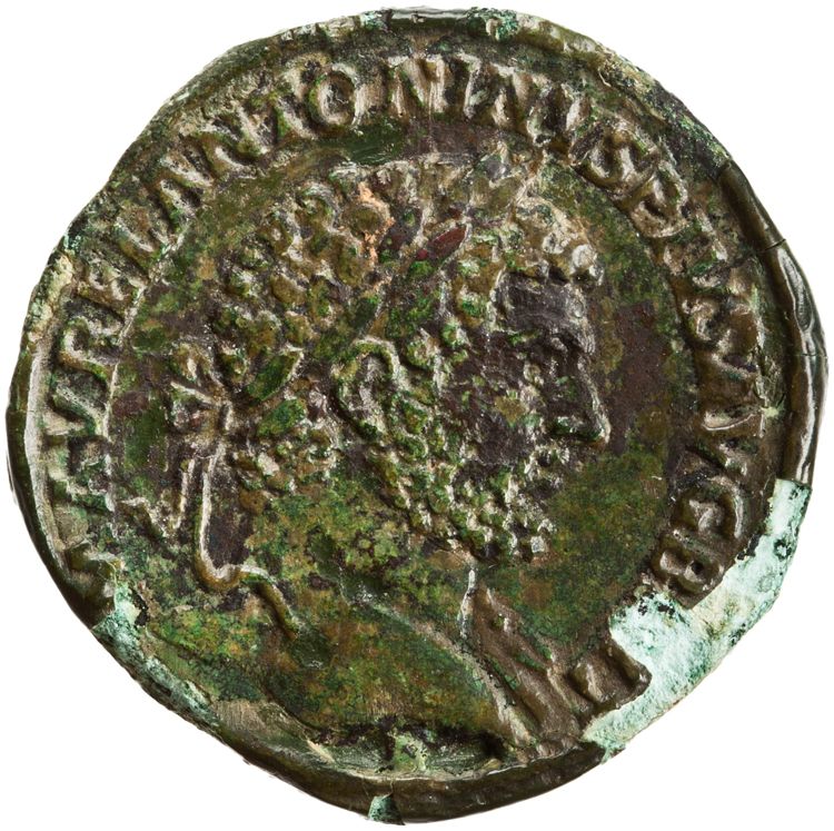 RIC IV Caracalla 511B, obverse, American Numismatic Society (ans)