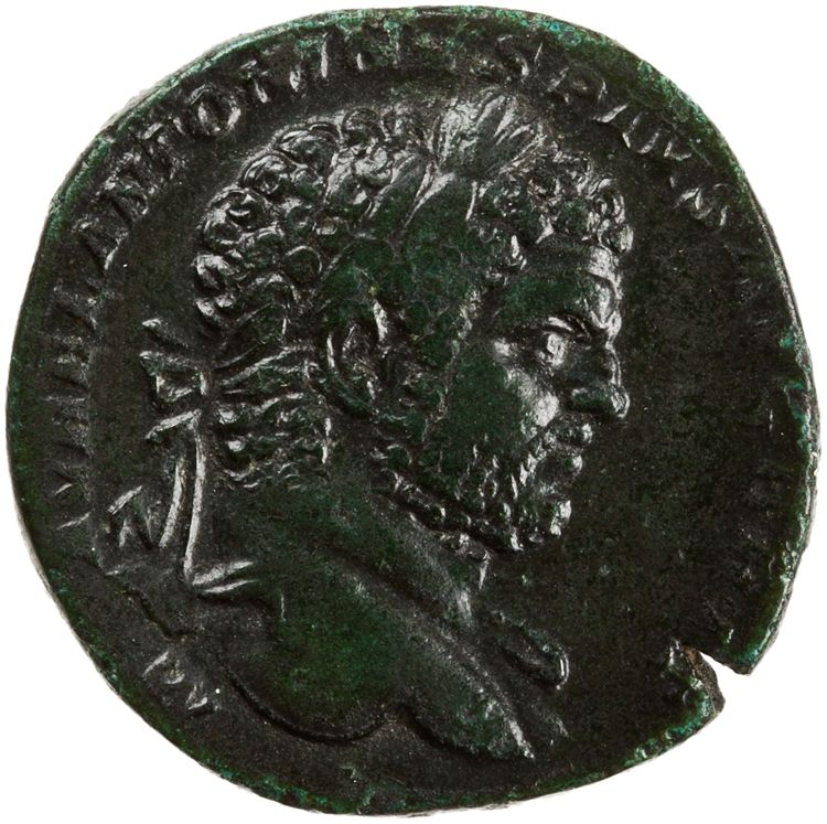 RIC IV Caracalla 511B, obverse, American Numismatic Society (ans)