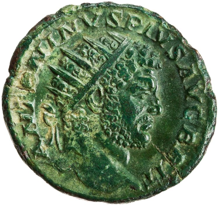 RIC IV Caracalla 515, аверс, American Numismatic Society (ans)