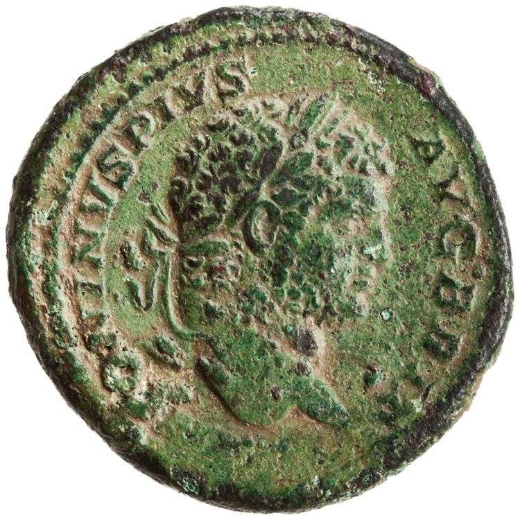 RIC IV Caracalla 519, аверс, American Numismatic Society (ans)