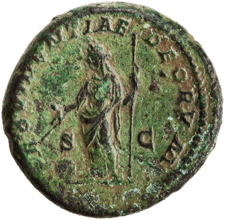RIC IV Caracalla 519, реверс, American Numismatic Society (ans)