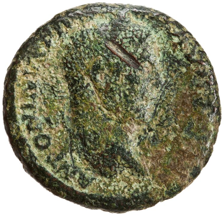 RIC IV Caracalla 488, obverse, American Numismatic Society (ans)