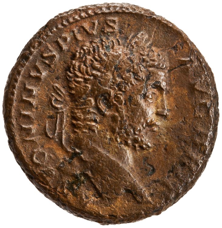 RIC IV Caracalla 489, аверс, American Numismatic Society (ans)