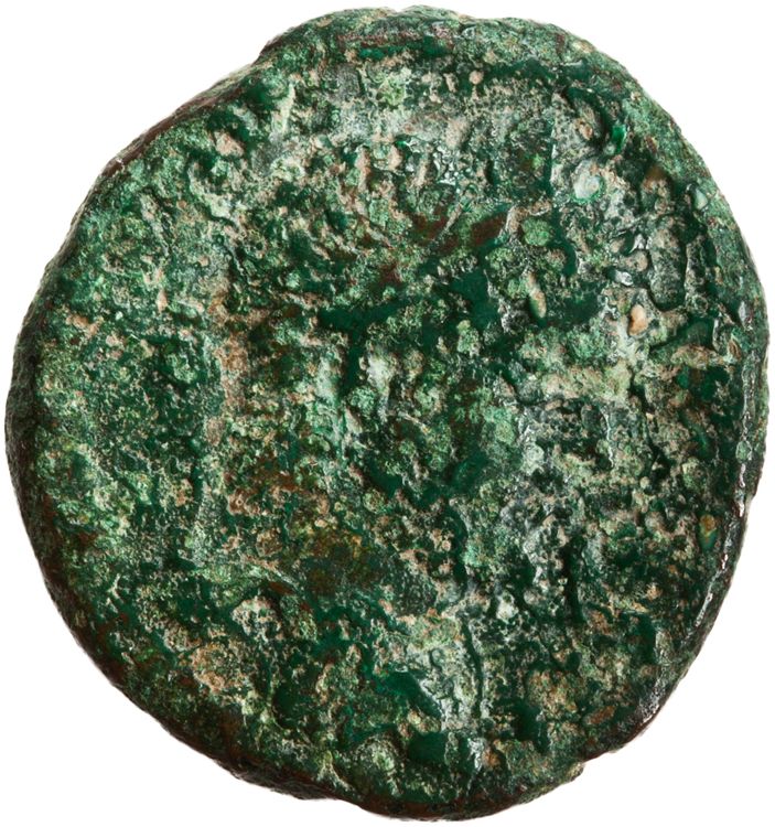 RIC IV Caracalla 495, obverse, American Numismatic Society (ans)