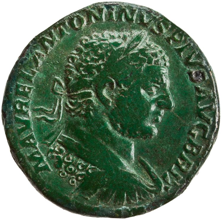 RIC IV Caracalla 496C, аверс, American Numismatic Society (ans)