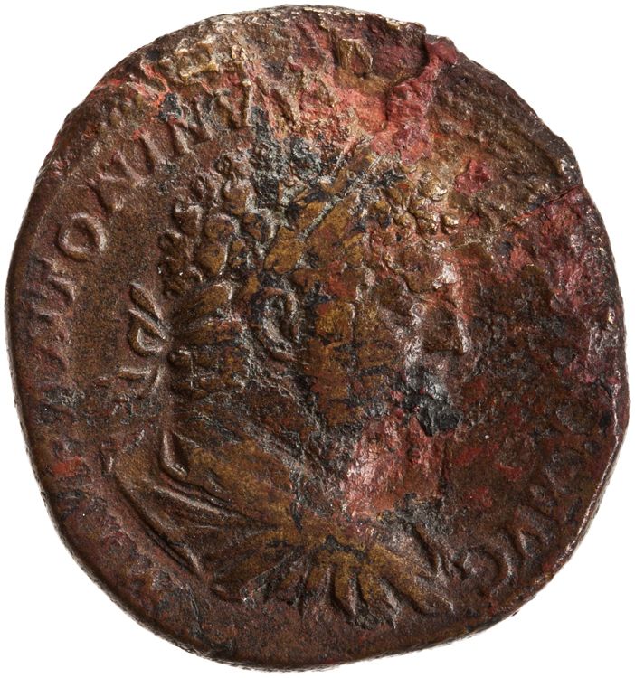 RIC IV Caracalla 526A, аверс, American Numismatic Society (ans)