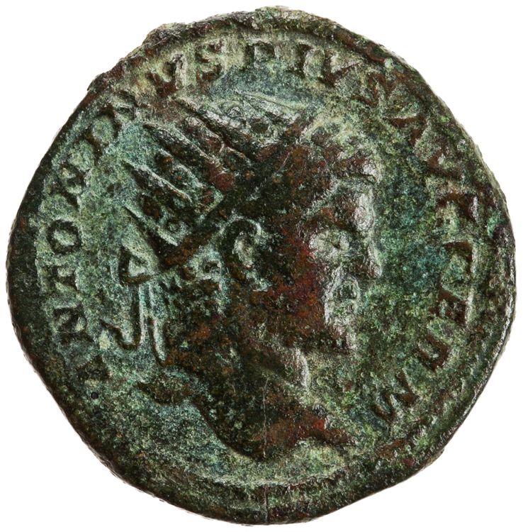 RIC IV Caracalla 528A, аверс, American Numismatic Society (ans)