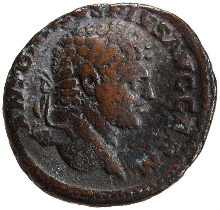 RIC IV Caracalla 533, аверс, American Numismatic Society (ans)