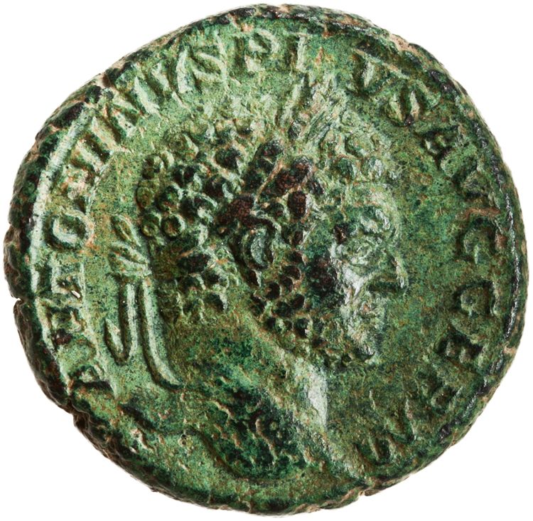 RIC IV Caracalla 534, аверс, American Numismatic Society (ans)