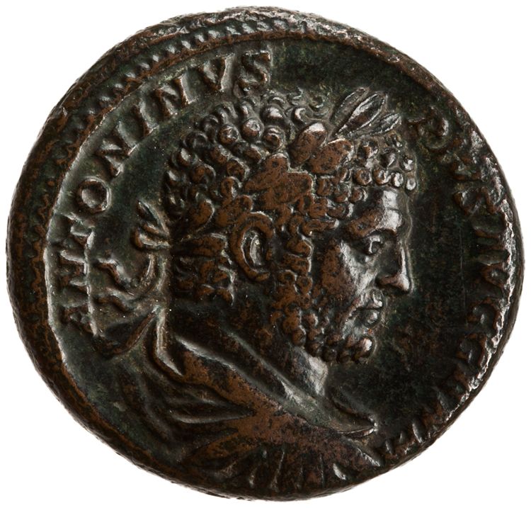 RIC IV Caracalla 554B, аверс, American Numismatic Society (ans)