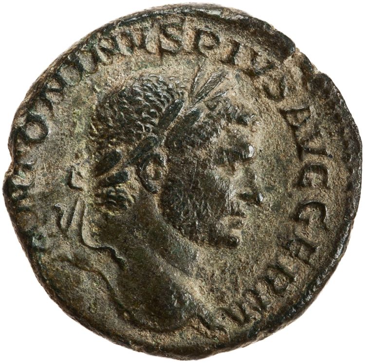 RIC IV Caracalla 558A, аверс, American Numismatic Society (ans)