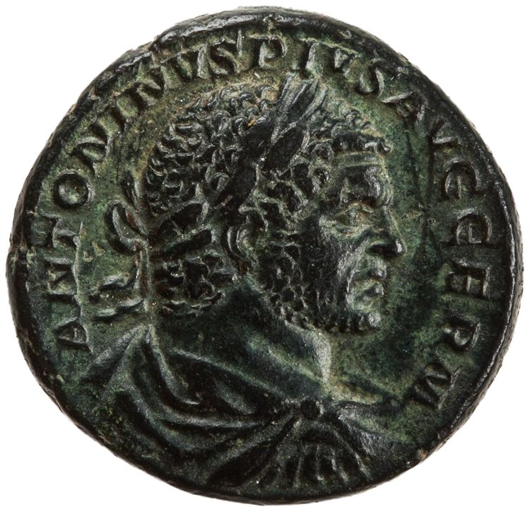 RIC IV Caracalla 568A, аверс, American Numismatic Society (ans)