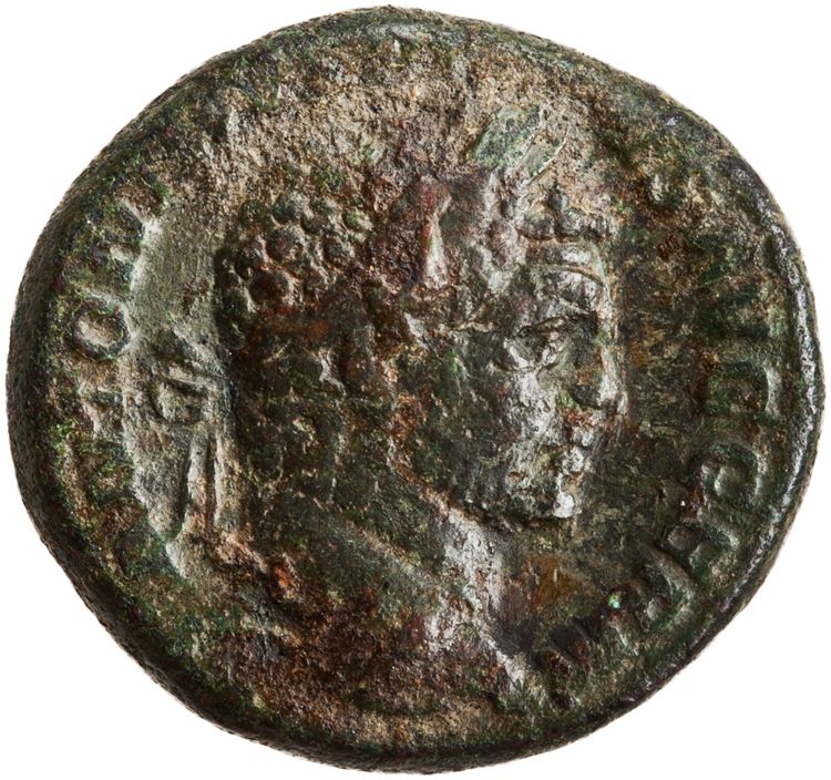 RIC IV Caracalla 571A, аверс, American Numismatic Society (ans)