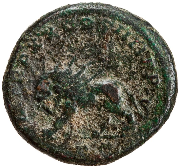 RIC IV Caracalla 571A, реверс, American Numismatic Society (ans)