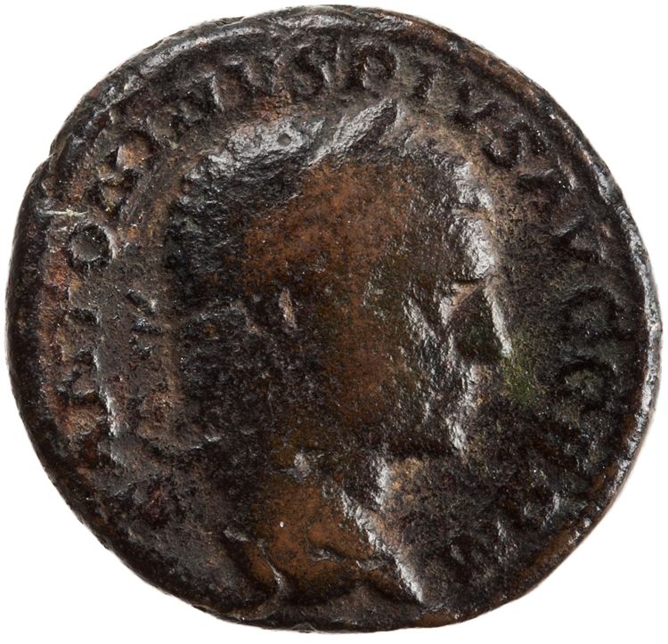 RIC IV Caracalla 571A, аверс, American Numismatic Society (ans)