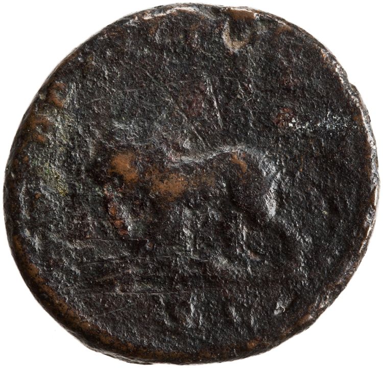 RIC IV Caracalla 571A, реверс, American Numismatic Society (ans)