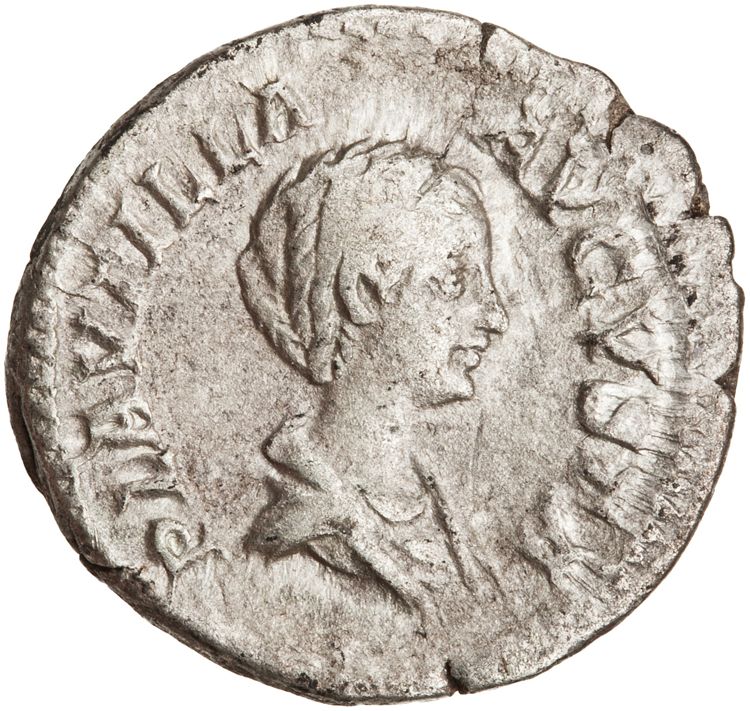 RIC IV Caracalla 363A, аверс, American Numismatic Society (ans)