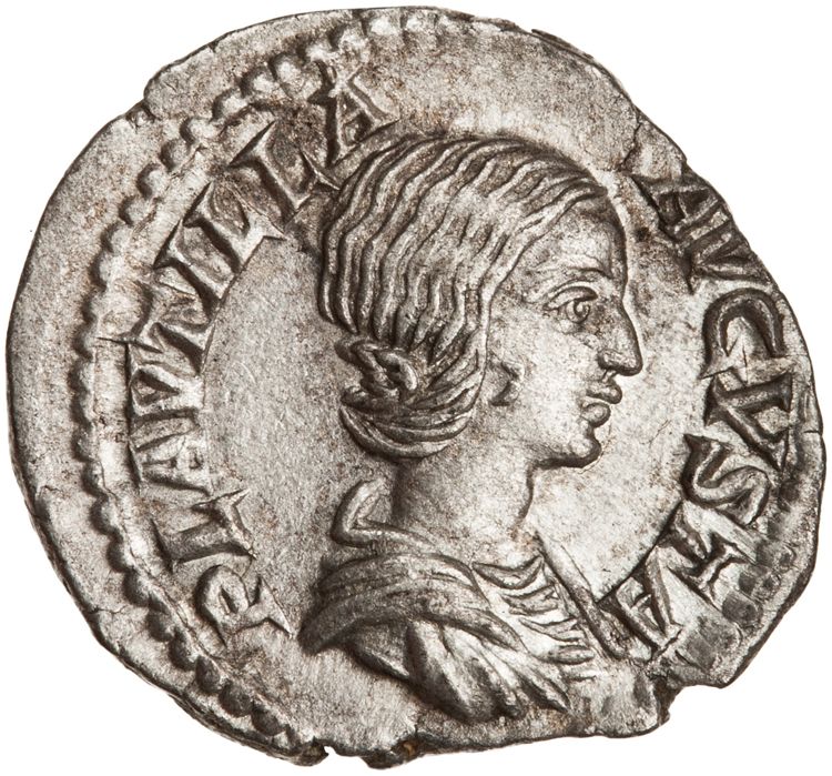 RIC IV Caracalla 367 (denarius), аверс, American Numismatic Society (ans)