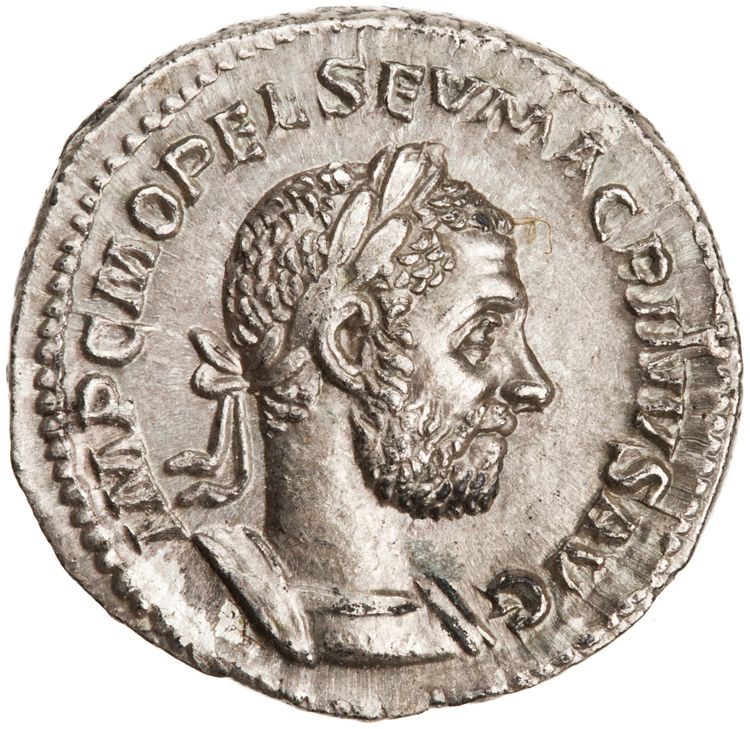 RIC IV Macrinus 59, аверс, American Numismatic Society (ans)