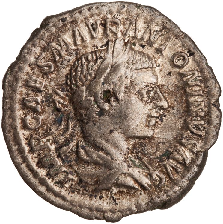 RIC IV Elagabalus 123b, аверс, American Numismatic Society (ans)