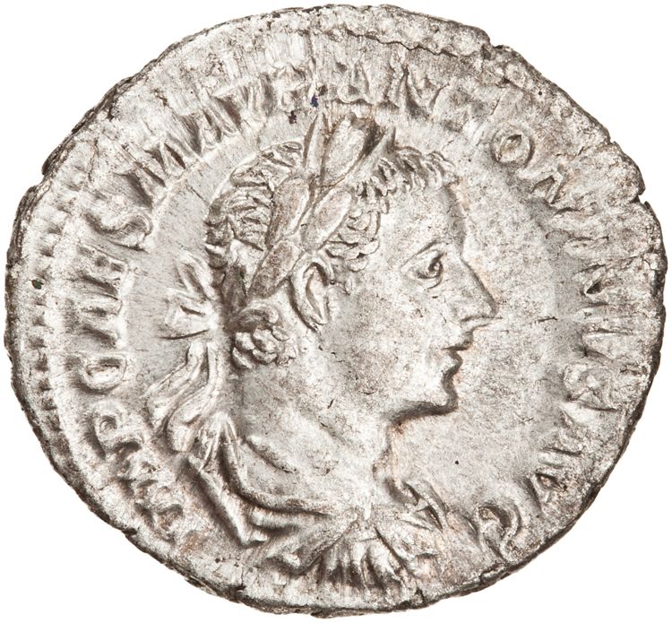 RIC IV Elagabalus 156b, obverse, American Numismatic Society (ans)