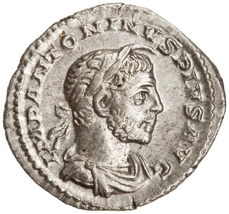 RIC IV Elagabalus 46b, аверс, American Numismatic Society (ans)
