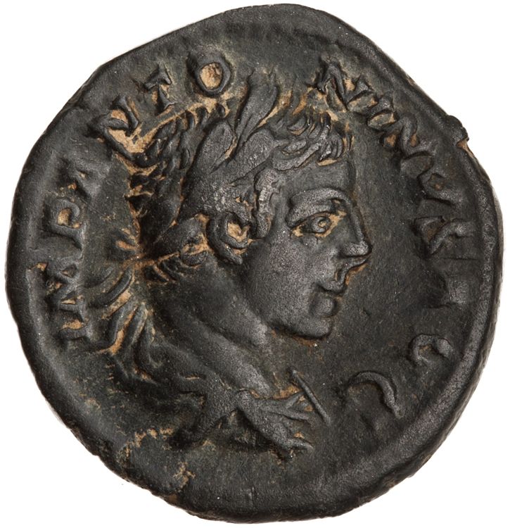 RIC IV Elagabalus 128b, аверс, American Numismatic Society (ans)