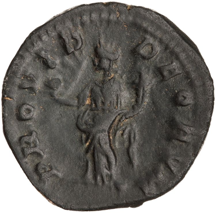 RIC IV Elagabalus 128b, реверс, American Numismatic Society (ans)