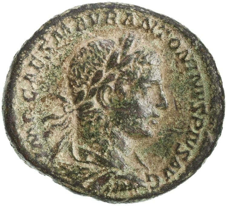 RIC IV Elagabalus 341, аверс, American Numismatic Society (ans)