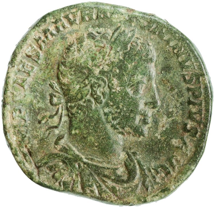 RIC IV Elagabalus 334, аверс, American Numismatic Society (ans)