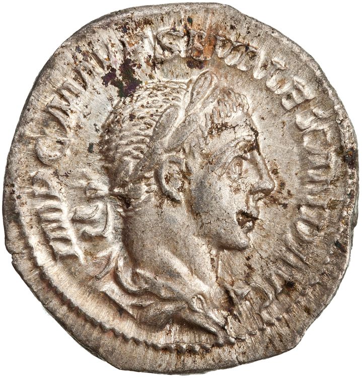 RIC IV Severus Alexander 40, аверс, American Numismatic Society (ans)