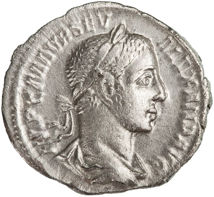 RIC IV Severus Alexander 50, obverse, American Numismatic Society (ans)