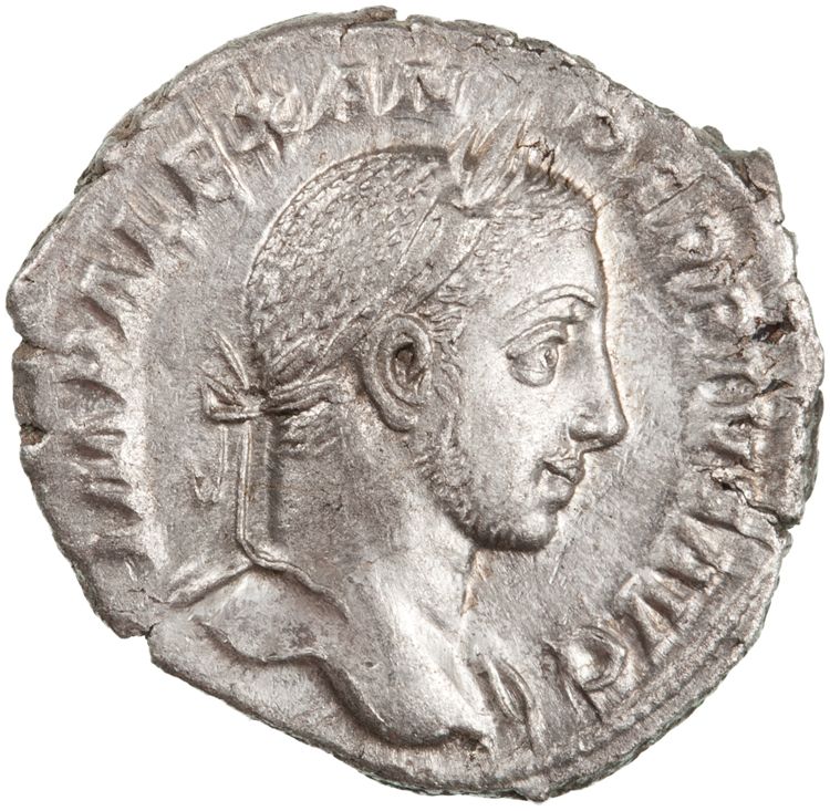 RIC IV Severus Alexander 250b, аверс, American Numismatic Society (ans)