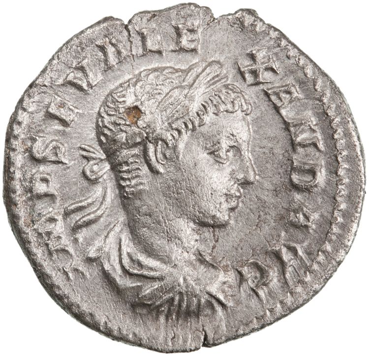 RIC IV Severus Alexander 302d, аверс, American Numismatic Society (ans)