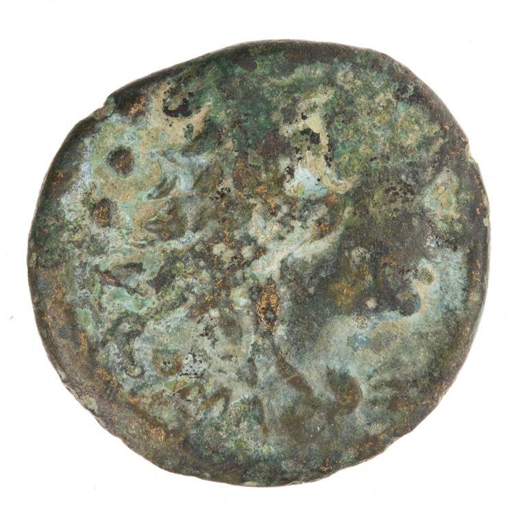 RRC 239/3, аверс, American Numismatic Society (ans)