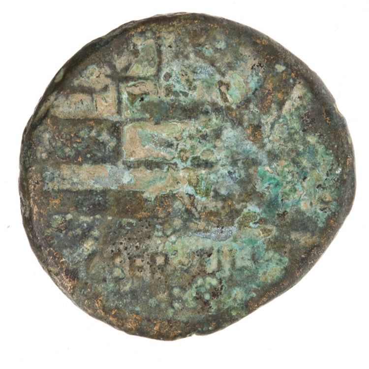 RRC 239/3, реверс, American Numismatic Society (ans)