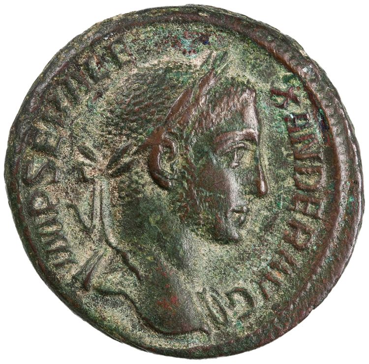 RIC IV Severus Alexander 506b, аверс, American Numismatic Society (ans)