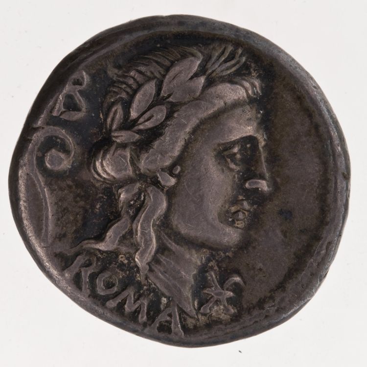 RRC 370/1, аверс, American Numismatic Society (ans)