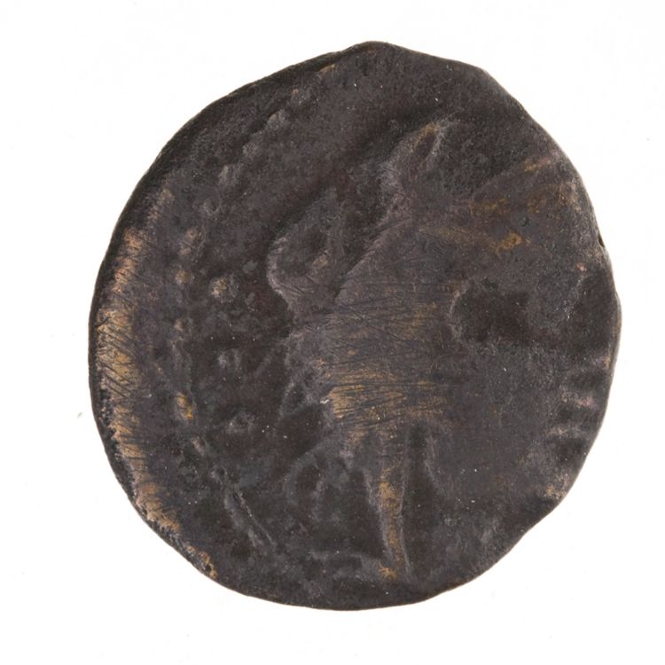 RRC 265/3, аверс, American Numismatic Society (ans)