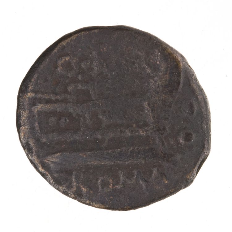 RRC 265/3, реверс, American Numismatic Society (ans)