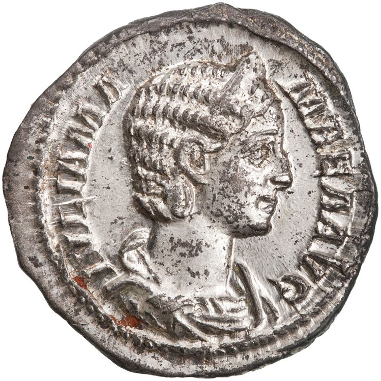 RIC IV Severus Alexander 362, obverse, American Numismatic Society (ans)