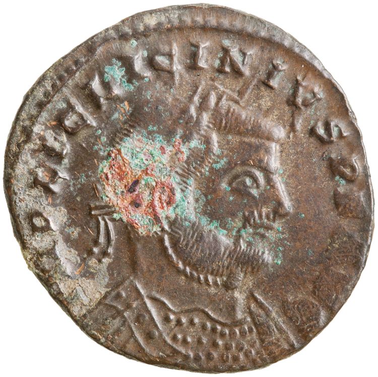 RIC VI Siscia 233a, аверс, American Numismatic Society (ans)