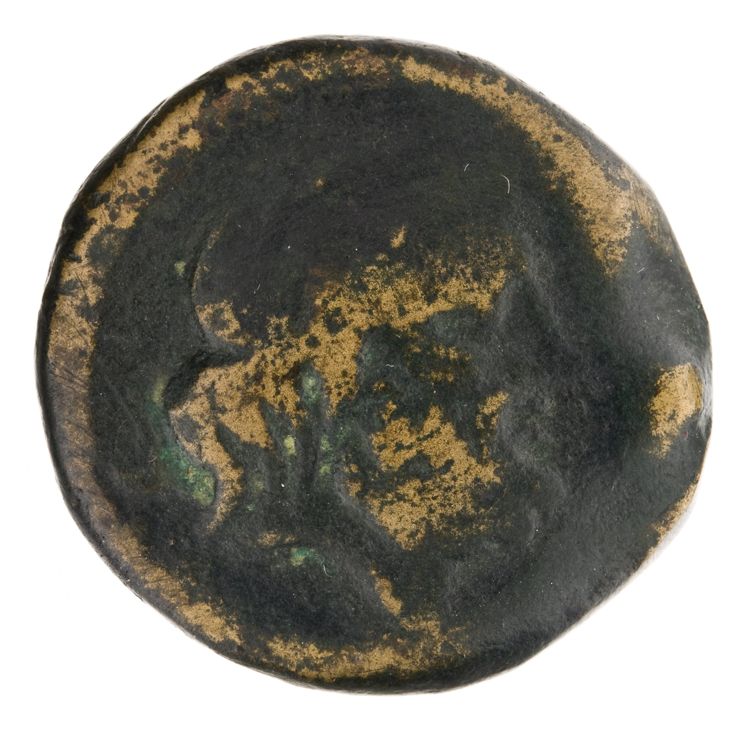 RRC 334/3b, аверс, American Numismatic Society (ans)