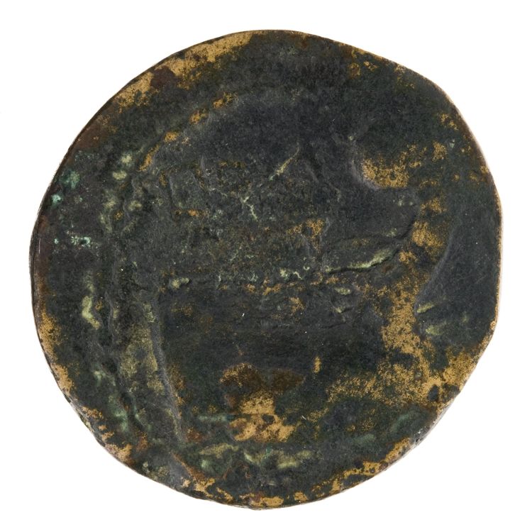 RRC 334/3b, реверс, American Numismatic Society (ans)