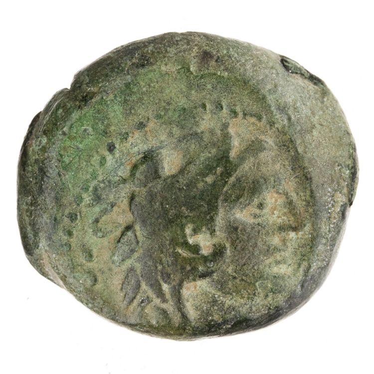 RRC 334/5, аверс, American Numismatic Society (ans)